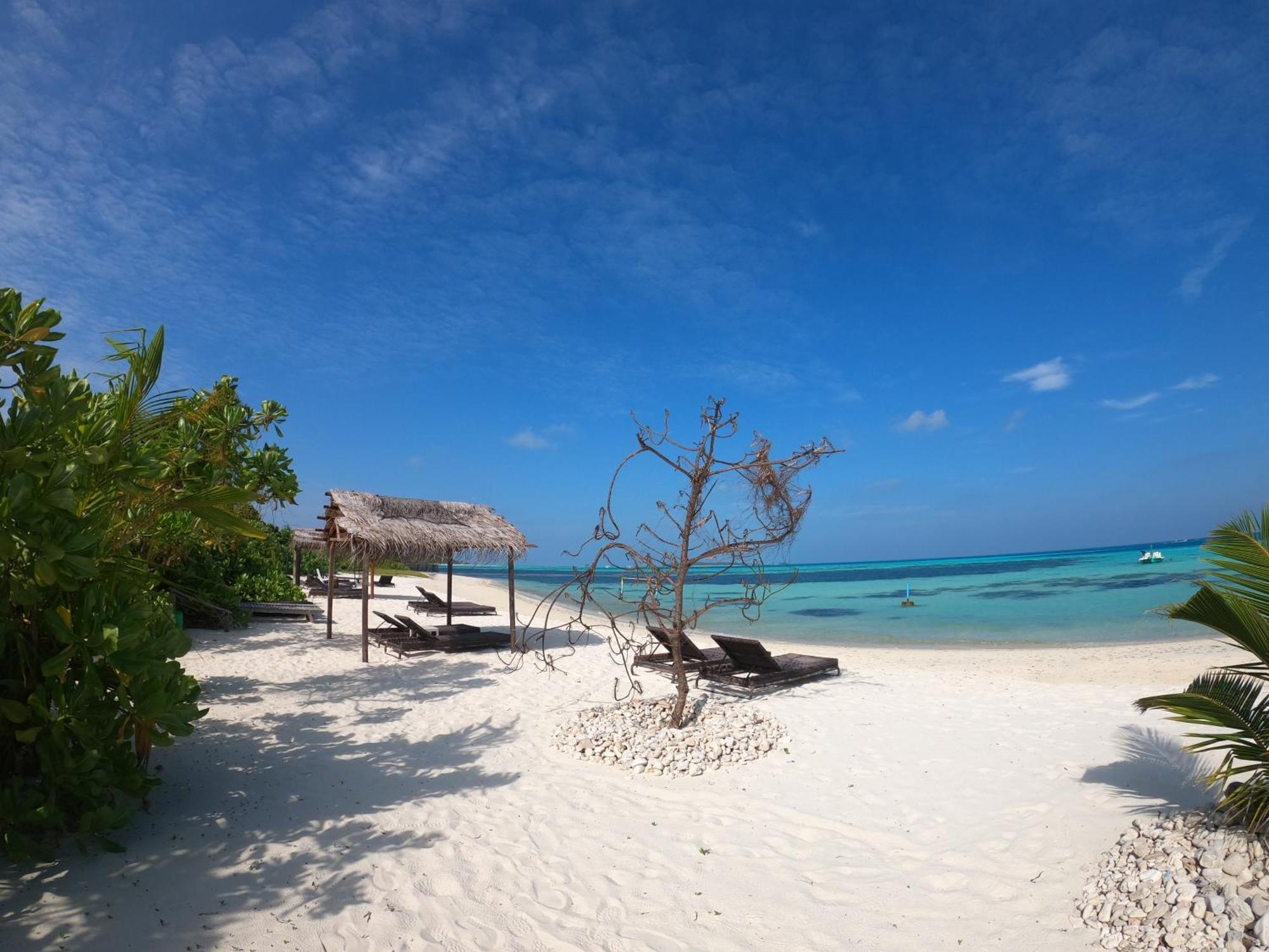 Shamar Guesthouse & Dive Маамигили Экстерьер фото