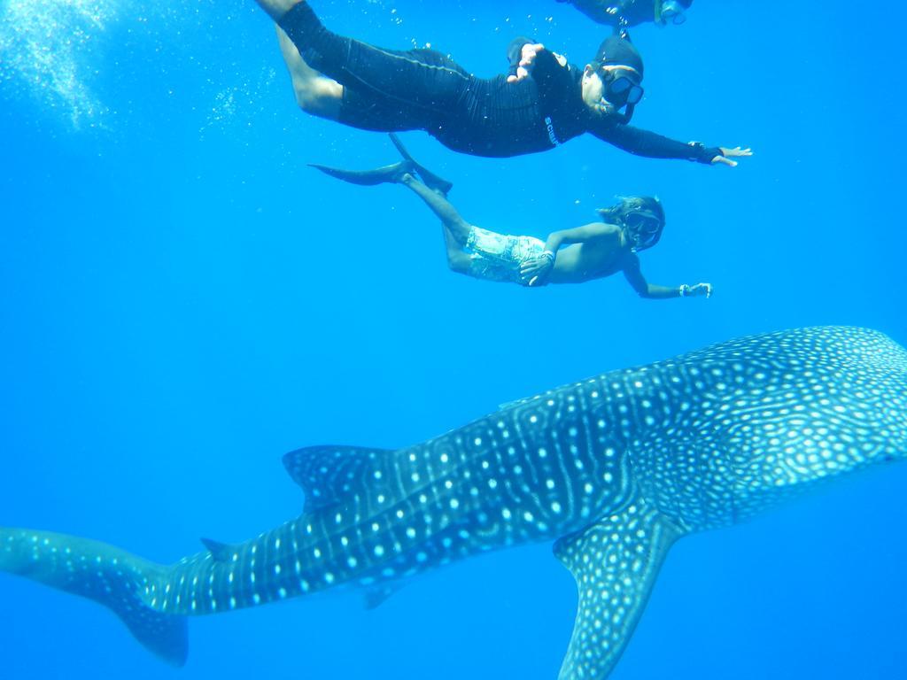Shamar Guesthouse & Dive Маамигили Экстерьер фото