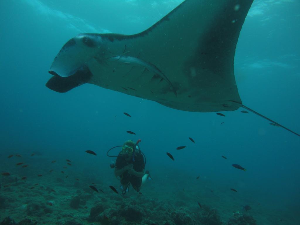 Shamar Guesthouse & Dive Маамигили Экстерьер фото